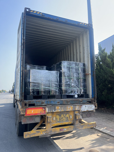 Xếp vào container và vận chuyển đến Ấn Độ